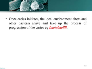• Once caries initiates, the local environment alters and
other bacteria arrive and take up the process of
progression of the caries eg Lactobacilli.
114
 