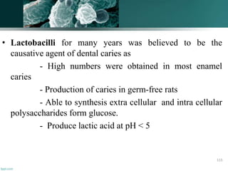 • Lactobacilli for many years was believed to be the
causative agent of dental caries as
- High numbers were obtained in most enamel
caries
- Production of caries in germ-free rats
- Able to synthesis extra cellular and intra cellular
polysaccharides form glucose.
- Produce lactic acid at pH < 5
115
 