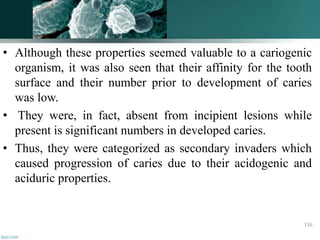 • Although these properties seemed valuable to a cariogenic
organism, it was also seen that their affinity for the tooth
surface and their number prior to development of caries
was low.
• They were, in fact, absent from incipient lesions while
present is significant numbers in developed caries.
• Thus, they were categorized as secondary invaders which
caused progression of caries due to their acidogenic and
aciduric properties.
116
 