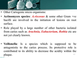 • Other Cariogenic micro organisms:
• Actinomyces species: A.viscosus & some other Gram +ve
bacilli are involved in the initiation of lesions on root
surface.
• Role played by a large number of other bacteria isolated
from caries such as Arachnia, Eubacterium, Rothia etc are
not yet clearly known.
• Veillonella: Is a species which is supposed to be
antagonistic to the caries process. Its protective role is
contributed to its ability to decrease the acidity within the
plaque. 117
 