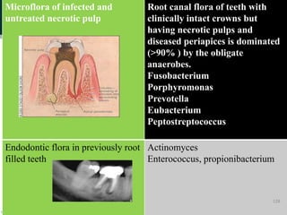 Microflora of infected and
untreated necrotic pulp
Root canal flora of teeth with
clinically intact crowns but
having necrotic pulps and
diseased periapices is dominated
(>90% ) by the obligate
anaerobes.
Fusobacterium
Porphyromonas
Prevotella
Eubacterium
Peptostreptococcus
Endodontic flora in previously root
filled teeth
Actinomyces
Enterococcus, propionibacterium
128
 