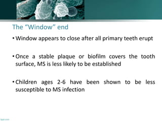 The “Window” end
• Window appears to close after all primary teeth erupt
• Once a stable plaque or biofilm covers the tooth
surface, MS is less likely to be established
• Children ages 2-6 have been shown to be less
susceptible to MS infection
138
 