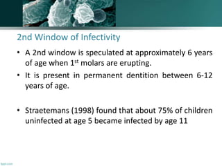 2nd Window of Infectivity
• A 2nd window is speculated at approximately 6 years
of age when 1st molars are erupting.
• It is present in permanent dentition between 6-12
years of age.
• Straetemans (1998) found that about 75% of children
uninfected at age 5 became infected by age 11
139
 