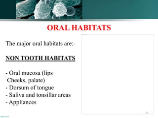 ORAL HABITATS
The major oral habitats are:-
NON TOOTH HABITATS
- Oral mucosa (lips
Cheeks, palate)
- Dorsum of tongue
- Saliva and tonsillar areas
- Appliances
21
 