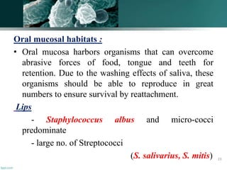 Oral mucosal habitats :
• Oral mucosa harbors organisms that can overcome
abrasive forces of food, tongue and teeth for
retention. Due to the washing effects of saliva, these
organisms should be able to reproduce in great
numbers to ensure survival by reattachment.
Lips
- Staphylococcus albus and micro-cocci
predominate
- large no. of Streptococci
(S. salivarius, S. mitis) 23
 