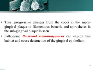• Thus, progressive changes from the cocci in the supra-
gingival plaque to filamentous bacteria and spirochetes in
the sub-gingival plaque is seen.
• Pathogenic Bacteroid melaninogenicus can exploit this
habitat and cause destruction of the gingival epithelium.
35
 