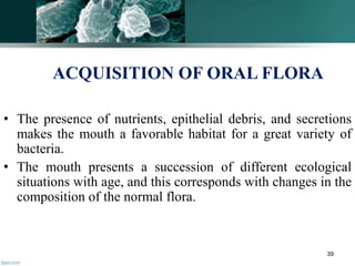 ACQUISITION OF ORAL FLORA
• The presence of nutrients, epithelial debris, and secretions
makes the mouth a favorable habitat for a great variety of
bacteria.
• The mouth presents a succession of different ecological
situations with age, and this corresponds with changes in the
composition of the normal flora.
39
 