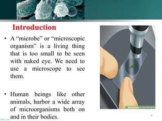 Introduction
• A “microbe” or “microscopic
organism” is a living thing
that is too small to be seen
with naked eye. We need to
use a microscope to see
them.
• Human beings like other
animals, harbor a wide array
of microorganisms both on
and in their bodies. 4
 