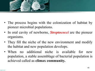 • The process begins with the colonization of habitat by
pioneer microbial populations.
• In oral cavity of newborns, Streptococci are the pioneer
organisms.
• They fill the niche of the new environment and modify
the habitat and new population develops.
• When no additional niche is available for new
population, a stable assemblage of bacterial population is
achieved called as climax community.
40
 