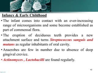 Infancy & Early Childhood
• The infant comes into contact with an ever-increasing
range of microorganisms and some become established as
part of commensal flora.
• The eruption of deciduous teeth provides a new
attachment surface and turns Streptococcus sanguis and
mutans as regular inhabitants of oral cavity.
• Anaerobes are few in number due to absence of deep
gingival crevice.
• Actinomyces , Lactobacilli are found regularly.
42
 