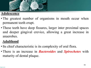 Adolescence
• The greatest number of organisms in mouth occur when
permanent teeth erupt.
• These teeth have deep fissures, larger inter proximal spaces
and deeper gingival crevice, allowing a great increase in
anaerobes.
Adulthood
• Its chief characteristic is its complexity of oral flora.
• There is an increase in Bacteroides and Spirochetes with
maturity of dental plaque.
43
 