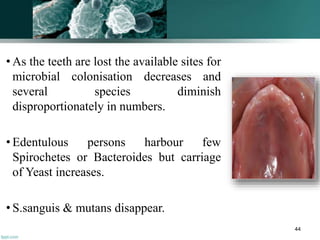 • As the teeth are lost the available sites for
microbial colonisation decreases and
several species diminish
disproportionately in numbers.
• Edentulous persons harbour few
Spirochetes or Bacteroides but carriage
of Yeast increases.
• S.sanguis & mutans disappear.
44
 