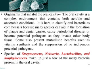 • Organisms that inhabit the oral cavity-- The oral cavity is a
complex environment that contains both aerobic and
anaerobic conditions. It is hard to classify oral bacteria as
commensals because many species can aid in the formation
of plaque and dental carries, cause periodontal disease, or
become potential pathogens as they invade other body
tissue. Some also present mutualistic benefits such as
vitamin synthesis and the suppression of no indigenous
potential pathogens.
• Species of Streptococcus, Neisseria, Lactobacillus, and
Staphylococcus make up just a few of the many bacteria
present in the oral cavity. 47
 