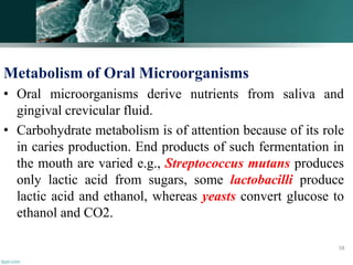 Metabolism of Oral Microorganisms
• Oral microorganisms derive nutrients from saliva and
gingival crevicular fluid.
• Carbohydrate metabolism is of attention because of its role
in caries production. End products of such fermentation in
the mouth are varied e.g., Streptococcus mutans produces
only lactic acid from sugars, some lactobacilli produce
lactic acid and ethanol, whereas yeasts convert glucose to
ethanol and CO2.
58
 