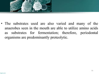 • The substrates used are also varied and many of the
anaerobes seen in the mouth are able to utilize amino acids
as substrates for fermentation; therefore, periodontal
organisms are predominantly proteolytic.
59
 