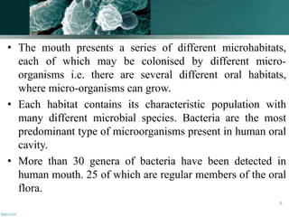 • The mouth presents a series of different microhabitats,
each of which may be colonised by different micro-
organisms i.e. there are several different oral habitats,
where micro-organisms can grow.
• Each habitat contains its characteristic population with
many different microbial species. Bacteria are the most
predominant type of microorganisms present in human oral
cavity.
• More than 30 genera of bacteria have been detected in
human mouth. 25 of which are regular members of the oral
flora.
6
 