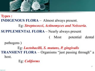 Types :
INDIGENOUS FLORA – Almost always present.
Eg: Streptococci, Actinomyces and Neisseria.
SUPPLEMENTAL FLORA – Nearly always present
( Most potential dental
pathogens )
Eg: Lactobacilli, S. mutans, P. gingivalis
TRANSIENT FLORA – Organisms “just passing through” a
host.
Eg: Coliforms
67
 