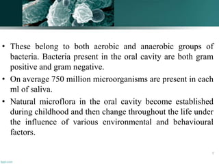 • These belong to both aerobic and anaerobic groups of
bacteria. Bacteria present in the oral cavity are both gram
positive and gram negative.
• On average 750 million microorganisms are present in each
ml of saliva.
• Natural microflora in the oral cavity become established
during childhood and then change throughout the life under
the influence of various environmental and behavioural
factors.
7
 