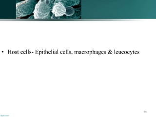 • Host cells- Epithelial cells, macrophages & leucocytes
86
 