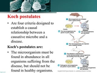 Koch postulates
• Are four criteria designed to
establish a causal
relationship between a
causative microbe and a
disease.
Koch's postulates are:
• The microorganism must be
found in abundance in all
organisms suffering from the
disease, but should not be
found in healthy organisms. 9
 
