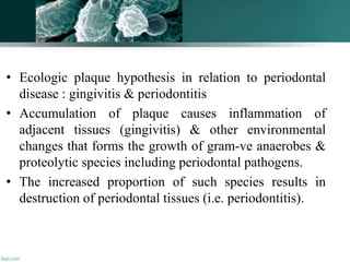 • Ecologic plaque hypothesis in relation to periodontal
disease : gingivitis & periodontitis
• Accumulation of plaque causes inflammation of
adjacent tissues (gingivitis) & other environmental
changes that forms the growth of gram-ve anaerobes &
proteolytic species including periodontal pathogens.
• The increased proportion of such species results in
destruction of periodontal tissues (i.e. periodontitis).
95
 
