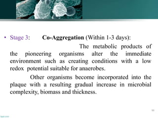 • Stage 3: Co-Aggregation (Within 1-3 days):
The metabolic products of
the pioneering organisms alter the immediate
environment such as creating conditions with a low
redox potential suitable for anaerobes.
Other organisms become incorporated into the
plaque with a resulting gradual increase in microbial
complexity, biomass and thickness.
99
 