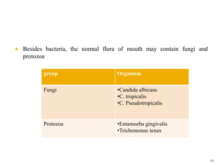  Besides bacteria, the normal flora of mouth may contain fungi and
protozoa
group Organism
Fungi •Candida albicans
•C. tropicalis
•C. Pseudotropicalis
Protozoa •Entamoeba gingivalis
•Trichomonas tenax
10
 