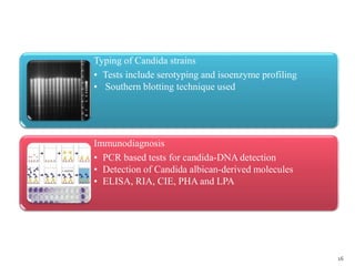 Typing of Candida strains
• Tests include serotyping and isoenzyme profiling
• Southern blotting technique used
Immunodiagnosis
• PCR based tests for candida-DNA detection
• Detection of Candida albican-derived molecules
• ELISA, RIA, CIE, PHA and LPA
16
 