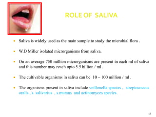  Saliva is widely used as the main sample to study the microbial flora .
 W.D Miller isolated microrganisms from saliva.
 On an average 750 million microrganisms are present in each ml of saliva
and this number may reach upto 5.5 billion / ml .
 The cultivable organisms in saliva can be 10 – 100 million / ml .
 The organisms present in saliva include veillonella species , streptococcus
oralis , s. salivarius , s.mutans and actinomyces species.
18
 
