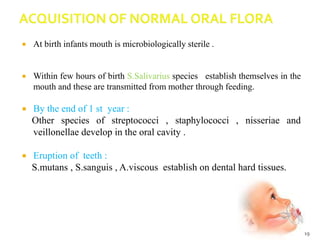  At birth infants mouth is microbiologically sterile .
 Within few hours of birth S.Salivarius species establish themselves in the
mouth and these are transmitted from mother through feeding.
 By the end of 1 st year :
Other species of streptococci , staphylococci , nisseriae and
veillonellae develop in the oral cavity .
 Eruption of teeth :
S.mutans , S.sanguis , A.viscous establish on dental hard tissues.
19
 