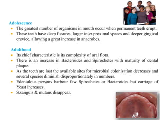 Adolescence
 The greatest number of organisms in mouth occur when permanent teeth erupt.
 These teeth have deep fissures, larger inter proximal spaces and deeper gingival
crevice, allowing a great increase in anaerobes.
Adulthood
 Its chief characteristic is its complexity of oral flora.
 There is an increase in Bacteroides and Spirochetes with maturity of dental
plaque.
 As the teeth are lost the available sites for microbial colonisation decreases and
several species diminish disproportionately in numbers.
 Edentulous persons harbour few Spirochetes or Bacteroides but carriage of
Yeast increases.
 S.sanguis & mutans disappear.
20
 
