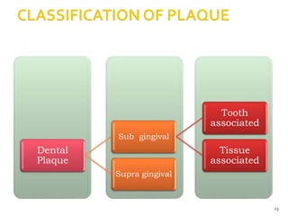 Dental
Plaque
Sub gingival
Tooth
associated
Tissue
associated
Supra gingival
23
 