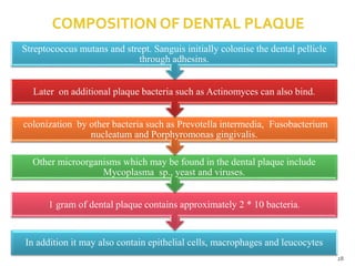 In addition it may also contain epithelial cells, macrophages and leucocytes
1 gram of dental plaque contains approximately 2 * 10 bacteria.
Other microorganisms which may be found in the dental plaque include
Mycoplasma sp., yeast and viruses.
colonization by other bacteria such as Prevotella intermedia, Fusobacterium
nucleatum and Porphyromonas gingivalis.
Later on additional plaque bacteria such as Actinomyces can also bind.
Streptococcus mutans and strept. Sanguis initially colonise the dental pellicle
through adhesins.
28
 