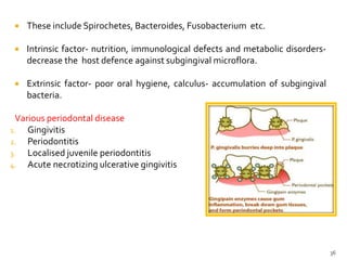  These include Spirochetes, Bacteroides, Fusobacterium etc.
 Intrinsic factor- nutrition, immunological defects and metabolic disorders-
decrease the host defence against subgingival microflora.
 Extrinsic factor- poor oral hygiene, calculus- accumulation of subgingival
bacteria.
Various periodontal disease
1. Gingivitis
2. Periodontitis
3. Localised juvenile periodontitis
4. Acute necrotizing ulcerative gingivitis
36
 