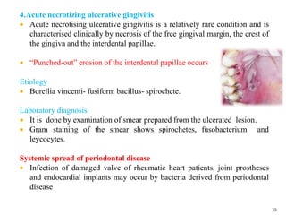 4.Acute necrotizing ulcerative gingivitis
 Acute necrotising ulcerative gingivitis is a relatively rare condition and is
characterised clinically by necrosis of the free gingival margin, the crest of
the gingiva and the interdental papillae.
 “Punched-out” erosion of the interdental papillae occurs
Etiology
 Borellia vincenti- fusiform bacillus- spirochete.
Laboratory diagnosis
 It is done by examination of smear prepared from the ulcerated lesion.
 Gram staining of the smear shows spirochetes, fusobacterium and
leycocytes.
Systemic spread of periodontal disease
 Infection of damaged valve of rheumatic heart patients, joint prostheses
and endocardial implants may occur by bacteria derived from periodontal
disease
39
 