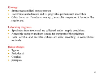 Etiology
 Strptococcus milleri- most common
 Bacteroides endodontalis and B. gingivalis- predominant anaerobes
 Other bacteria- Fusobacterium sp. , anaerobic streptococci, lactobacillus
species etc.
Laboratory diagnosis
 Specimens from root canal are collected under aseptic conditions.
 Anaerobic transport medium is used for transport of the specimen
 Both aerobic and anerobic culures are done according to conventional
methods.
Dental abscess
 Types-
 Periodontal
 Gingival
 periapical
42
 