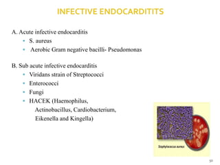 A. Acute infective endocarditis
 S. aureus
 Aerobic Gram negative bacilli- Pseudomonas
B. Sub acute infective endocarditis
 Viridans strain of Streptococci
 Enterococci
 Fungi
 HACEK (Haemophilus,
Actinobacillus, Cardiobacterium,
Eikenella and Kingella)
50
 