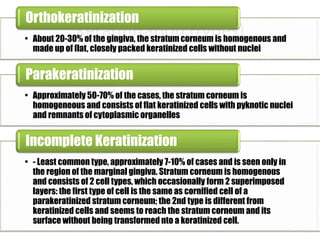 Orthokeratinization 
Keratinization (types) • About 20-30% of the gingiva, the stratum corneumis homogenous and 
made up of flat, closely packed keratinized cells without nuclei 
Parakeratinization 
• Approximately 50-70% of the cases, the stratum corneum is 
homogeneous and consists of flat keratinized cells with pyknotic nuclei 
and remnants of cytoplasmic organelles 
Incomplete Keratinization 
• - Least common type, approximately 7-10% of cases and is seen only in 
the region of the marginal gingiva. Stratum corneum is homogenous 
and consists of 2 cell types, which occasionally form 2 superimposed 
layers: the first type of cell is the same as cornified cell of a 
parakeratinized stratum corneum; the 2nd type is different from 
keratinized cells and seems to reach the stratum corneumand its 
surface without being transformed nto a keratinized cell. 
 