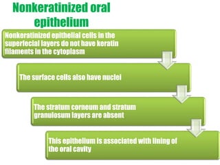 Nonkeratinized oral 
epithelium 
Nonkeratinized epithelial cells in the 
superfecial layers do not have keratin 
filaments in the cytoplasm 
The surface cells also have nuclei 
The stratum corneum and stratum 
granulosumlayers are absent 
This epithelium is associated with lining of 
the oral cavity 
 