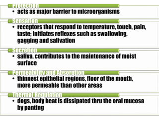 Protection 
• acts as major barrier to microorganisms 
Sensation 
• receptors that respond to temperature, touch, pain, 
taste; initiates reflexes such as swallowing, 
gagging and salivation 
Secretion 
• saliva, contributes to the maintenance of moist 
surface 
Permeability and Absorption 
• thinnest epithelial regions, floor of the mouth, 
more permeable than other areas 
Thermal Regulation 
• dogs, body heat is dissipated thru the oral mucosa 
by panting 
 