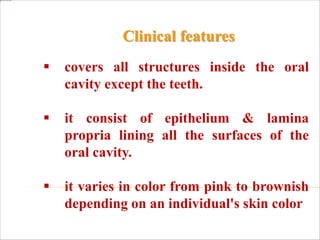  covers all structures inside the oral
cavity except the teeth.
 it consist of epithelium & lamina
propria lining all the surfaces of the
oral cavity.
 it varies in color from pink to brownish
depending on an individual's skin color
Clinical features
 