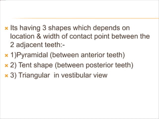  Its having 3 shapes which depends on
location & width of contact point between the
2 adjacent teeth:-
 1)Pyramidal (between anterior teeth)
 2) Tent shape (between posterior teeth)
 3) Triangular in vestibular view
 