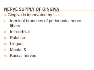 NERVE SUPPLY OF GINGIVA
 Gingiva is innervated by :----
I. terminal branches of periodontal nerve
fibers
II. Infraorbital
III. Palatine
IV. Lingual
V. Mental &
VI. Buccal nerves
 