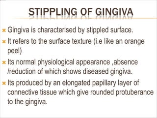 STIPPLING OF GINGIVA
 Gingiva is characterised by stippled surface.
 It refers to the surface texture (i.e like an orange
peel)
 Its normal physiological appearance ,absence
/reduction of which shows diseased gingiva.
 Its produced by an elongated papillary layer of
connective tissue which give rounded protuberance
to the gingiva.
 