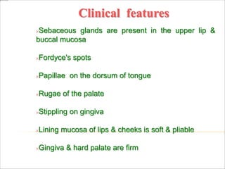 Clinical features
Sebaceous glands are present in the upper lip &
buccal mucosa
Fordyce's spots
Papillae on the dorsum of tongue
Rugae of the palate
Stippling on gingiva
Lining mucosa of lips & cheeks is soft & pliable
Gingiva & hard palate are firm
 