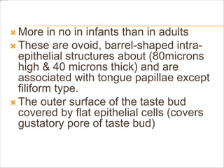  More in no in infants than in adults
 These are ovoid, barrel-shaped intra-
epithelial structures about (80microns
high & 40 microns thick) and are
associated with tongue papillae except
filiform type.
 The outer surface of the taste bud
covered by flat epithelial cells (covers
gustatory pore of taste bud)
 