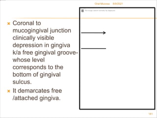  Coronal to
mucogingival junction
clinically visible
depression in gingiva
k/a free gingival groove-
whose level
corresponds to the
bottom of gingival
sulcus.
 It demarcates free
/attached gingiva.
8/9/2021
181
Oral Mucosa
 