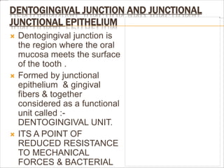 DENTOGINGIVAL JUNCTION AND JUNCTIONAL
JUNCTIONAL EPITHELIUM
 Dentogingival junction is
the region where the oral
mucosa meets the surface
of the tooth .
 Formed by junctional
epithelium & gingival
fibers & together
considered as a functional
unit called :-
DENTOGINGIVAL UNIT.
 ITS A POINT OF
REDUCED RESISTANCE
TO MECHANICAL
FORCES & BACTERIAL
 