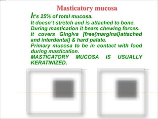 Masticatory mucosa
It’s 25% of total mucosa.
It doesn’t stretch and is attached to bone.
During mastication it bears chewing forces.
It covers Gingiva [free{marginal}attached
and interdental] & hard palate.
Primary mucosa to be in contact with food
during mastication.
MASTICATORY MUCOSA IS USUALLY
KERATINIZED.
 