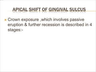 APICAL SHIFT OF GINGIVAL SULCUS
 Crown exposure ,which involves passive
eruption & further recession is described in 4
stages:-
 